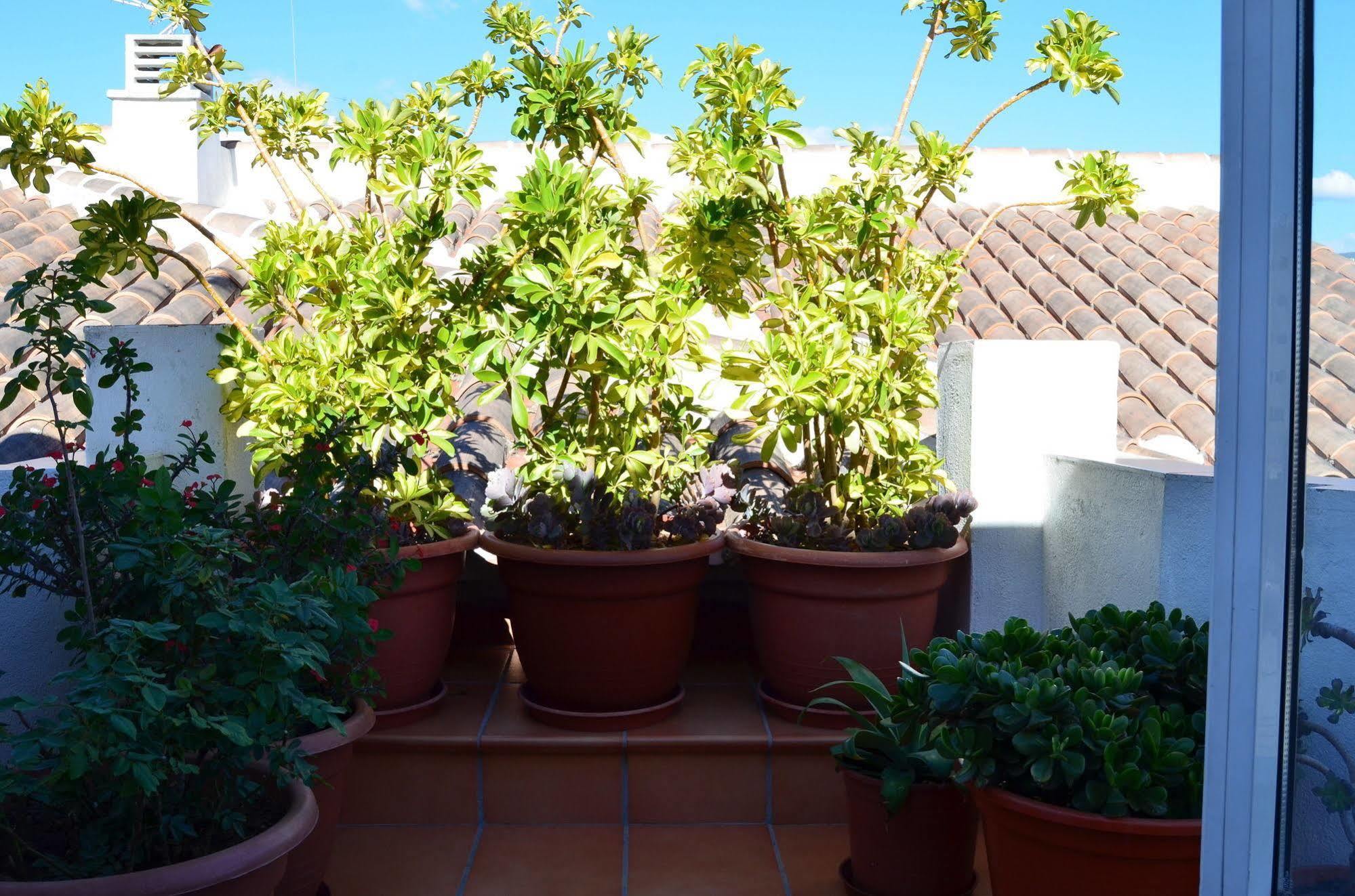 San Pablo Appartamento *